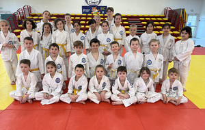 Stage mini-poussins / poussins : une belle réussite au dojo d’Ennery
