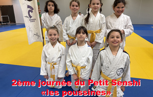 69c94615605fb_judoclubrurangepoussines.jpg