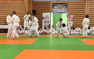 6a2fd6181dd15_IMG5670.jpg