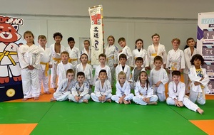 stage judo Ennery Rurange