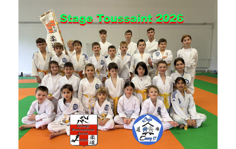 Deux jours de stage judo, des jeux traditionnels et une aile de poulet au menu !